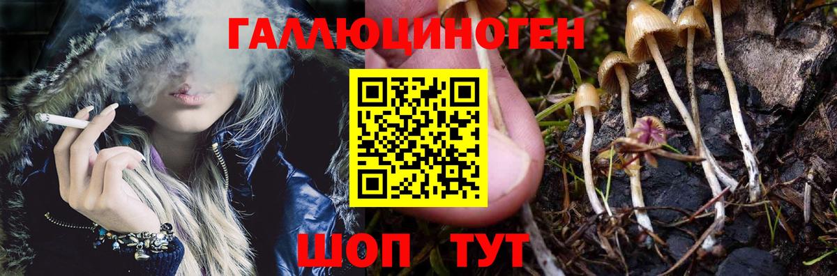 Галлюциногенные грибы GOLDEN TEACHER Пенза