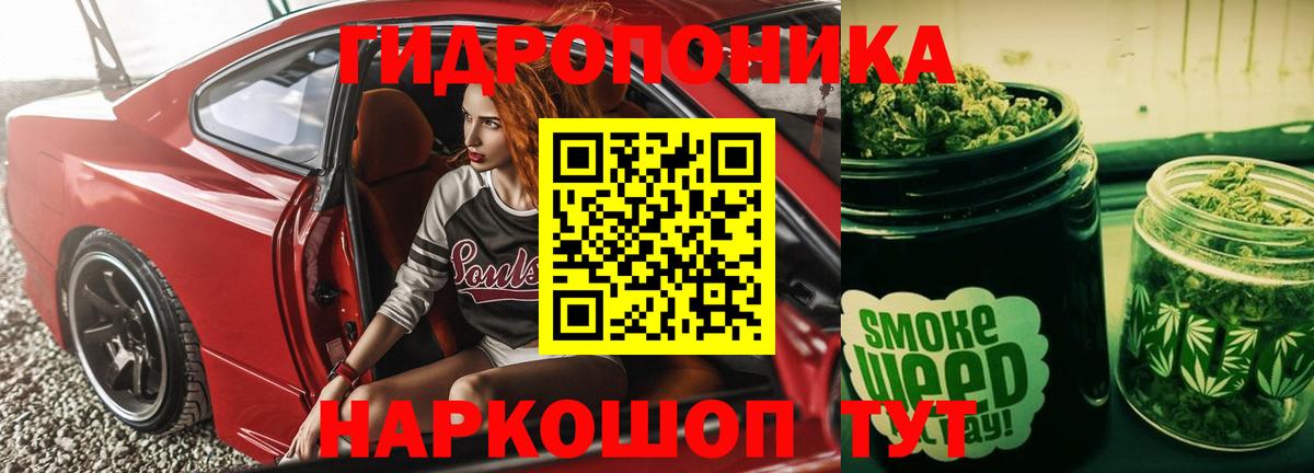 Шишки марихуана Amnesia  Канабис тримм  Вход с VPN  Канабис план  Бошки Шишки OG Kush  Пенза 